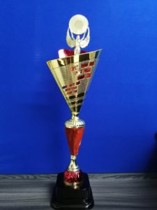 Trofeos para campeonatos de futbol Bogota